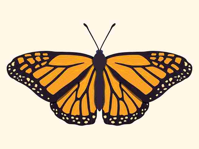 【新91视频】氛围炸裂深层逻辑冲击 - 云端体验