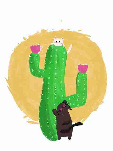 澎湃式剖析!每日大赛在线免费观看边界探测（带你飞）