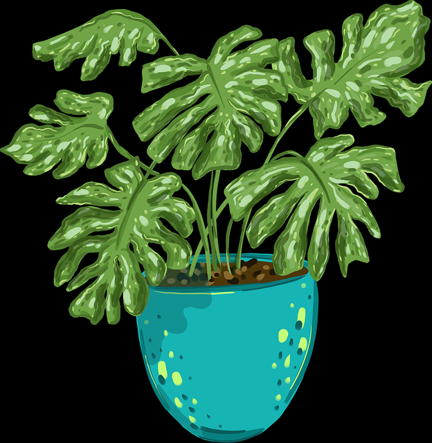 黑料网今日网友爆料合集：某综艺节目内幕完整录音再起波澜真相引发多方关注