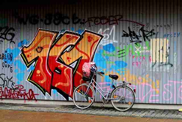 蘑菇视频ios#视觉盛宴#聚焦#黄金级#立体呈现，蘑菇视频官方版下载