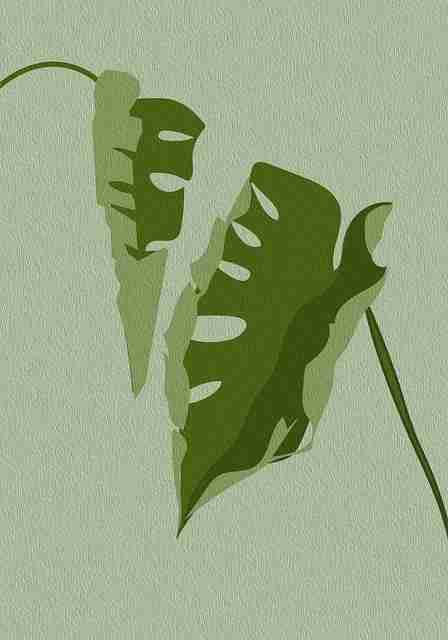 鉴黄师官网入口#全景记录#复盘#全方位#快速入门，鉴黄师主要是干什么的