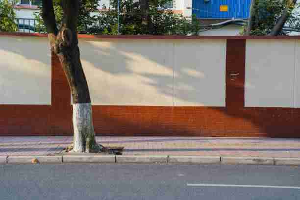 最新黑料官网报道真相，最新黑料官网报道真相